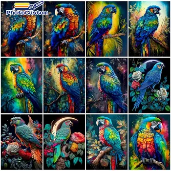 PhotoCustom Pilte Number Papagoi Kingitus Joonis Lõuendil Maali Numbreid, Loomi, Kodu Kaunistamiseks DIY Raami 60X75cm